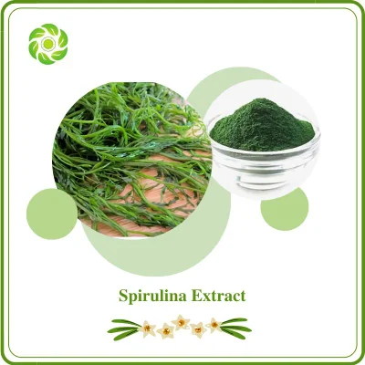 Amostra grátis Spirulina 10: 1 Polissacarídeos (PSP) 10-70% β-caroteno Aditivo alimentar Agente de condicionamento da pele Vitamina Proteína Chlorella Extrato de espirulina