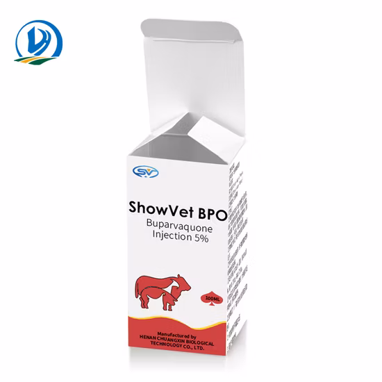 Drogas Antiinflamatórias GMP 10ml Flunixin Meglumine Injection Medicamentos Veterinários Medicamentos para Bovinos/Porcos